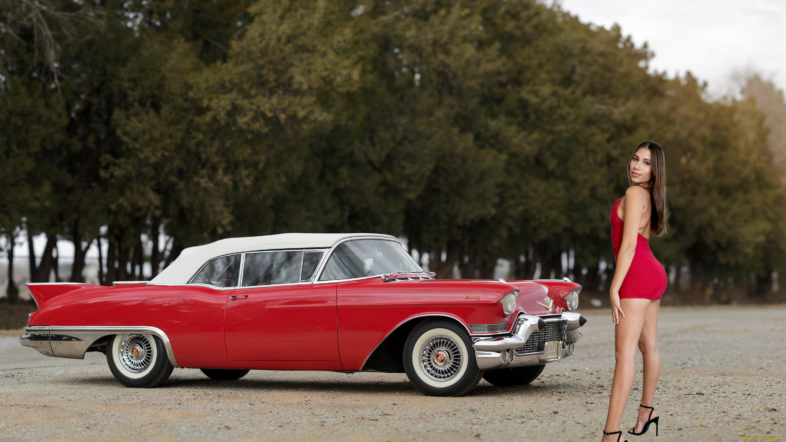 1957 cadillac eldorado convertible, baby nicols, , -  , 1957, cadillac, eldorado, convertible, baby, nicols